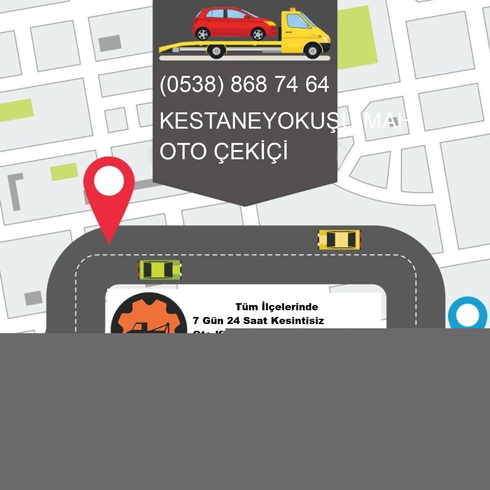 Kestaneyokuşu  Oto Çekici