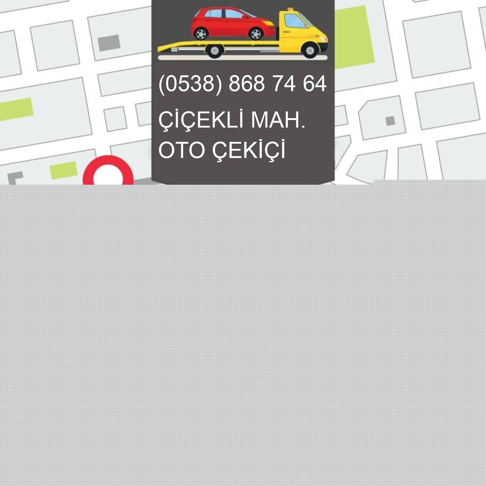 Çiçekli  Oto Çekici